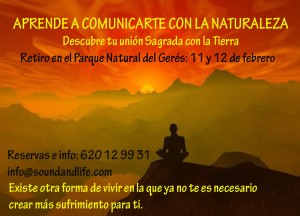 sonidoyvida.com