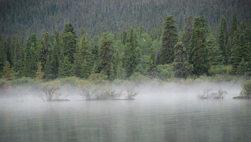 aullido terapia, sonidos para aullar, sonidos de alaska, sonidos terapeuticos para aullar, canto del lobo, lobos, alaska, canada, yuk&oacute;n, logo &aacute;rtico, sonido para liberar tensiones, sonido para terapias grupales, sonido para la liberaci&oacute;n, sonidos para el despertar.