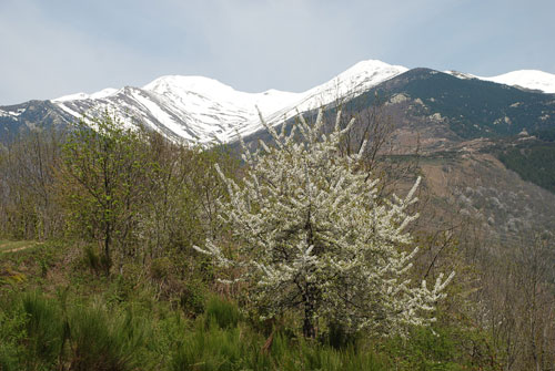 sonido para soltar emociones, sonido terapeutico para momentos de duelo, sonido casacadas, sonido de los pirineos, sonido de agua, sonido terapeutico, sonido de la naturaleza, sonidos especiales, 